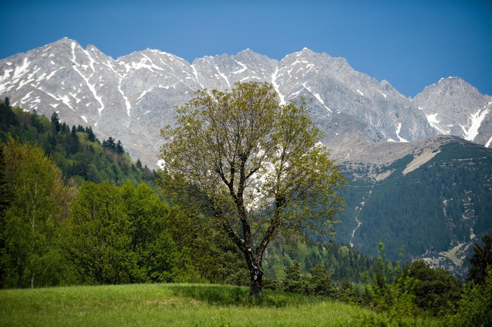 "Innsbruck Moments" Kasperhof Appartements Eksteriør billede