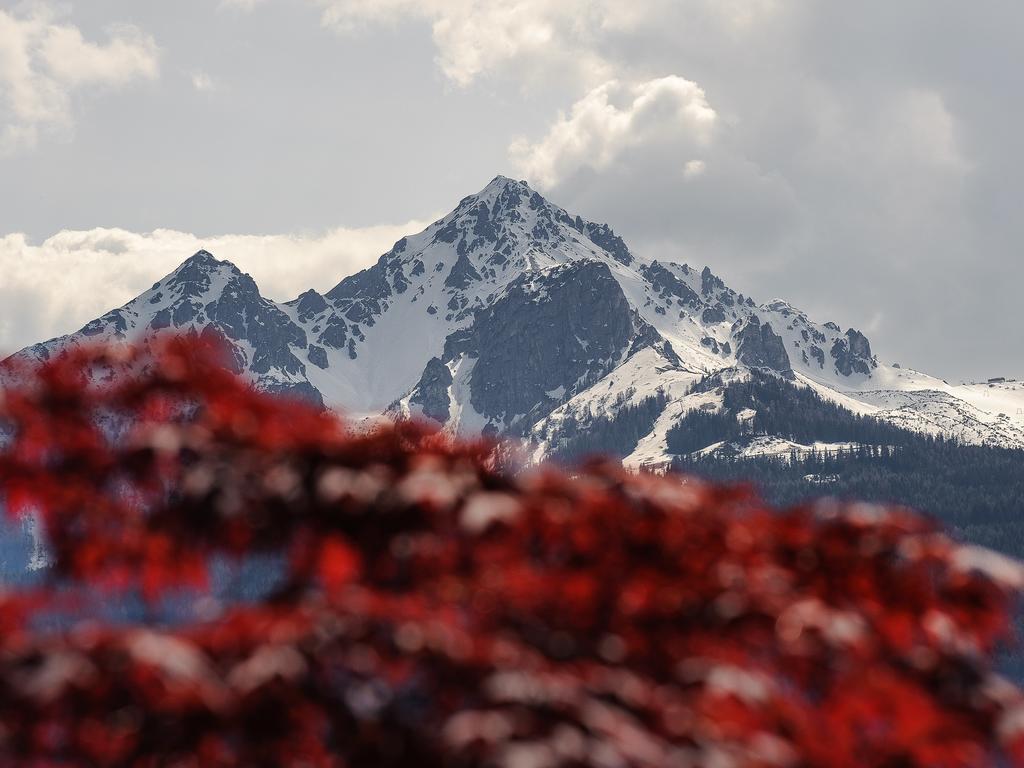 "Innsbruck Moments" Kasperhof Appartements Eksteriør billede